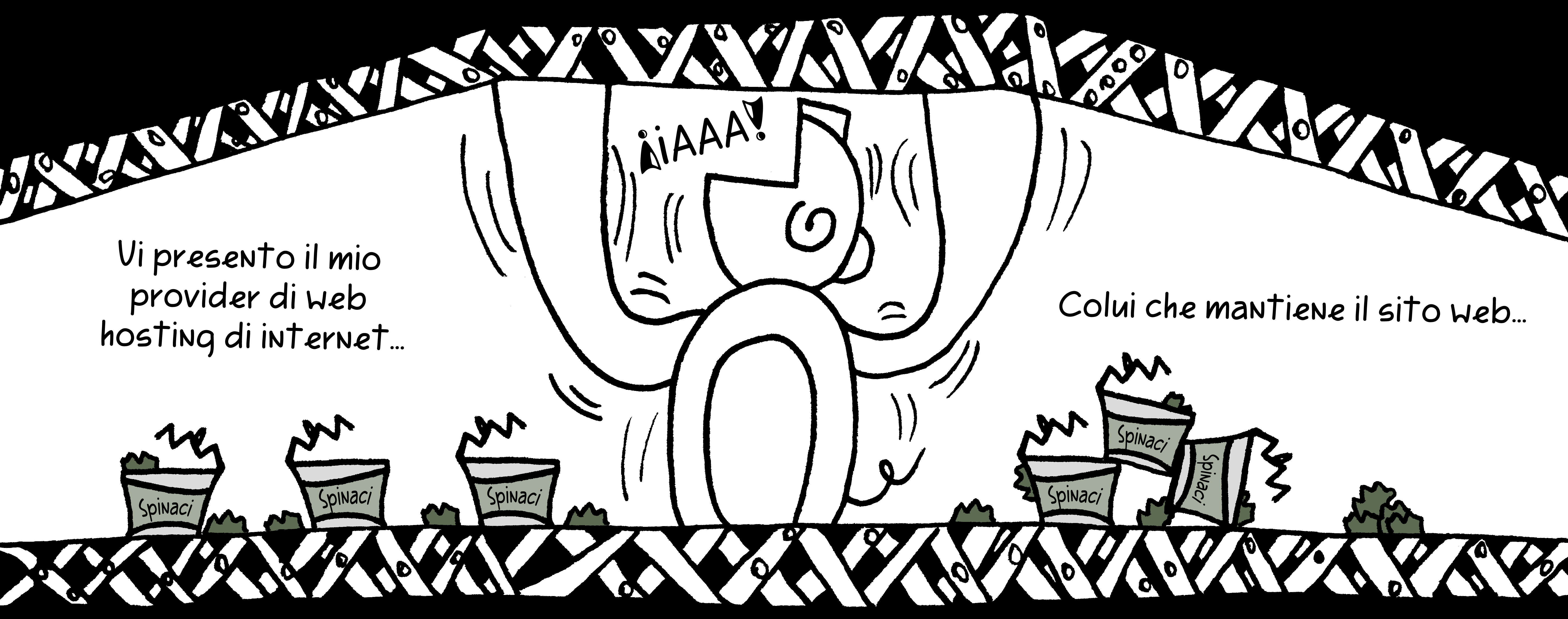 Il mio fornitore di hosting