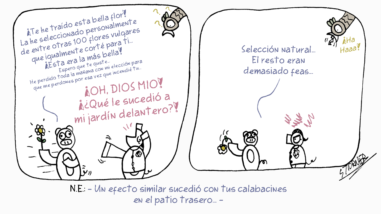 Cómic Selección Natural